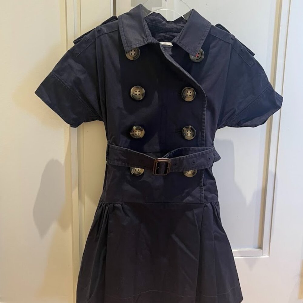 Burberry trench coat dress